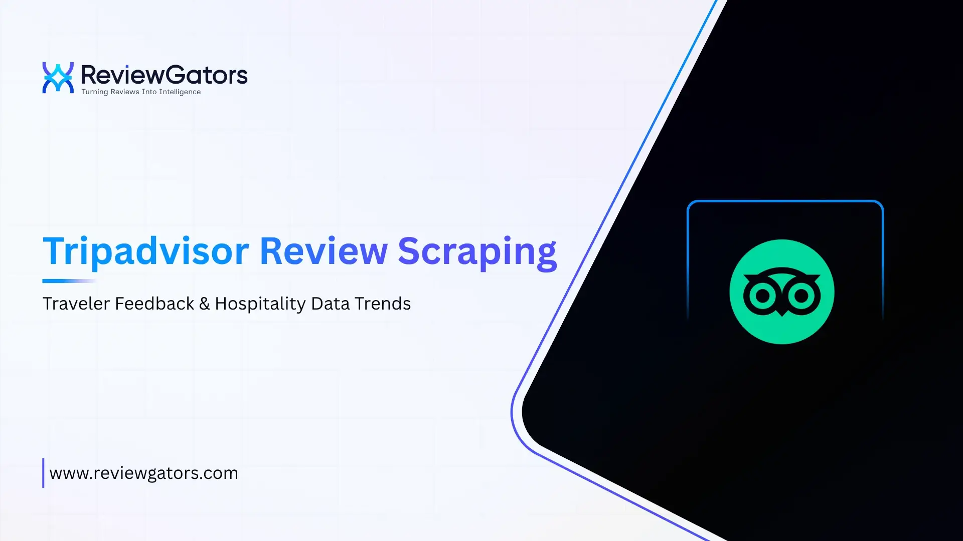 Tripadvisor Review Scraping Guide for Hotel and Travel Businesses